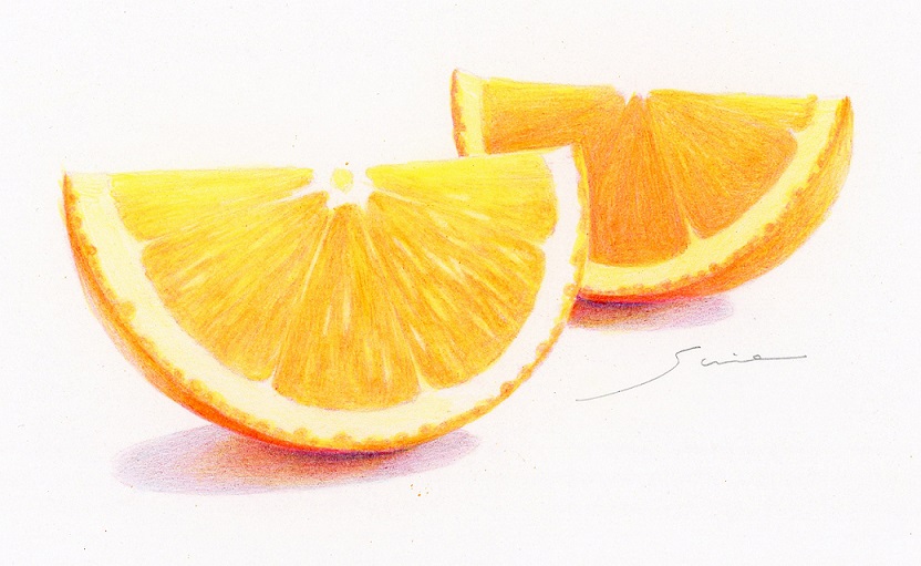 色鉛筆画「オレンジ」